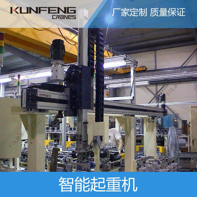 2020年智能起重机的发展前景分析