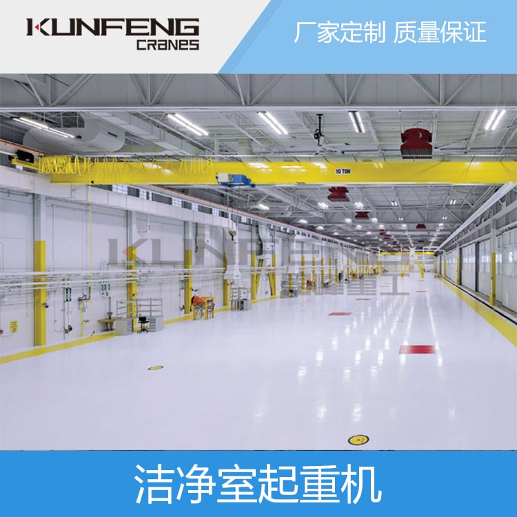 厦门洁净室起重机系统