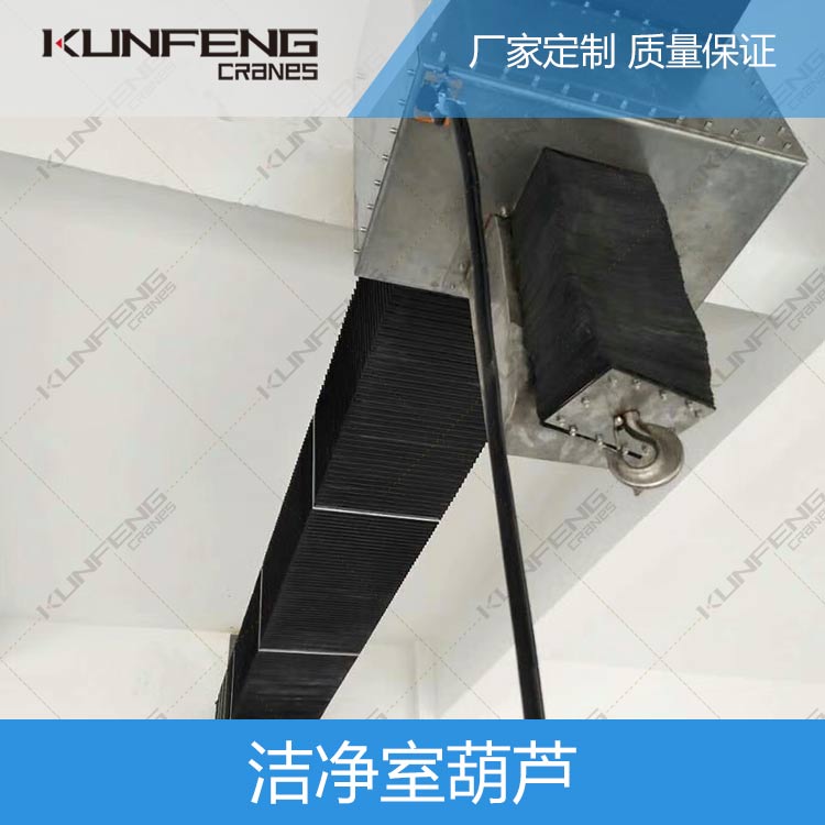 万级洁净行吊