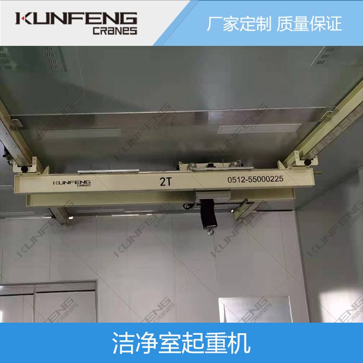 欧式洁净室行吊