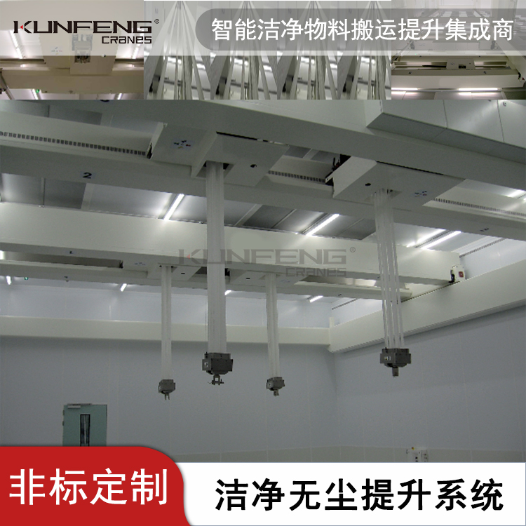 新型带式洁净起重机