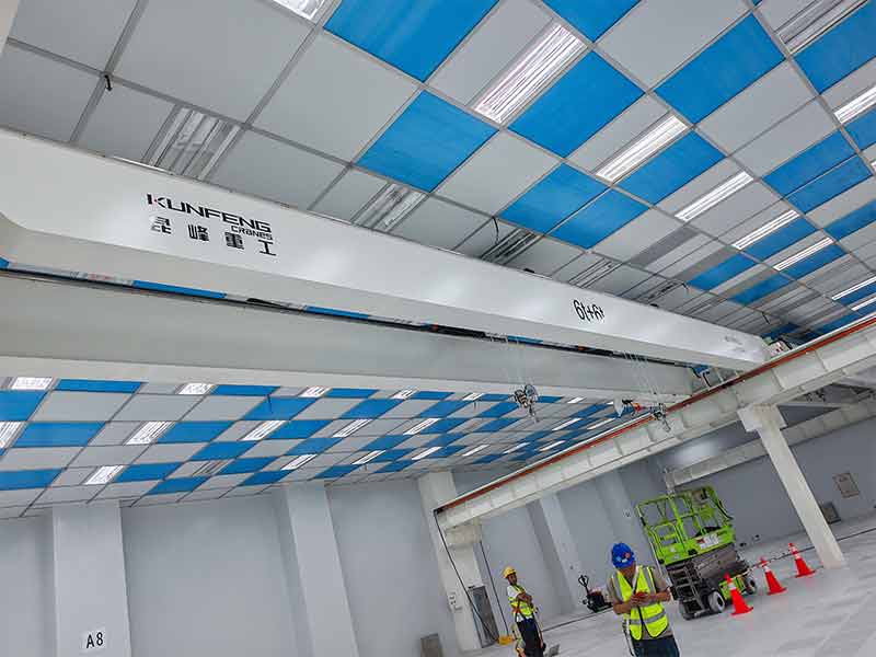 高精密10000级洁净行吊